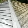 Remember To Get Your Roof Washed